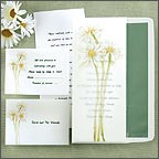 Daisy Theme Wedding Invitations