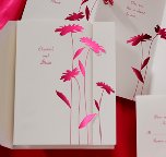 Pink Daisy Invitations